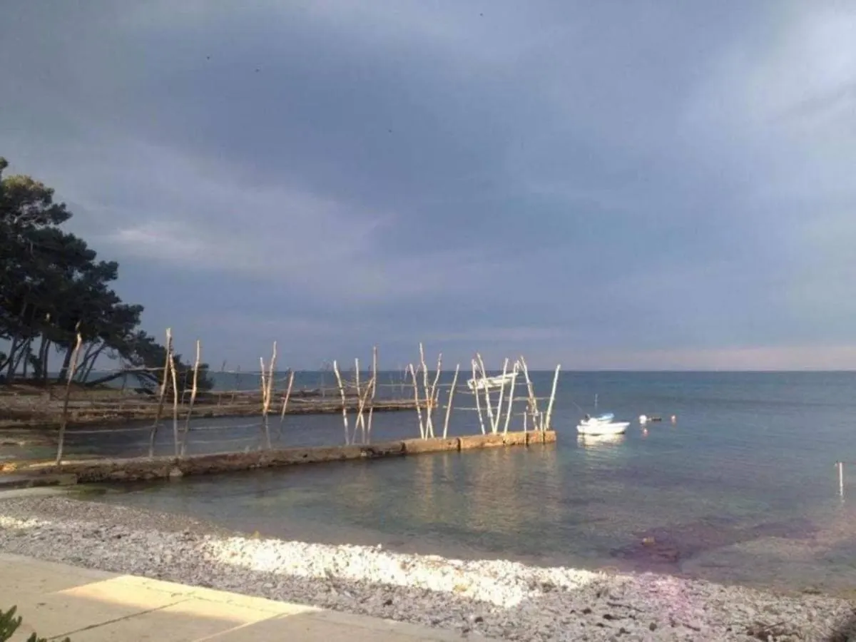App Enterprise Umag Daire